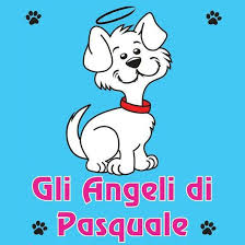 Gli Angeli di Pasquale