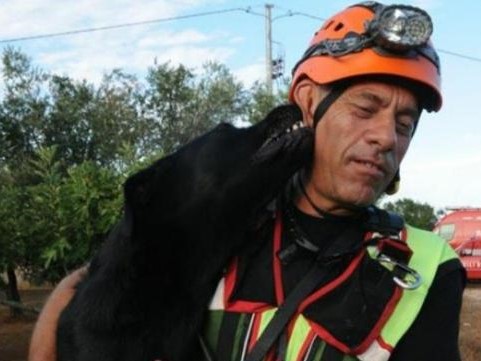 MORTO TOMMY, il cane che salvò tre vite sotto le macerie del sisma de LʼAquila